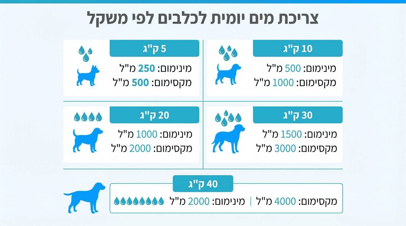 כל מה שחשוב לדעת על מים לכלבים וחתולים ואיכות המים עבורם